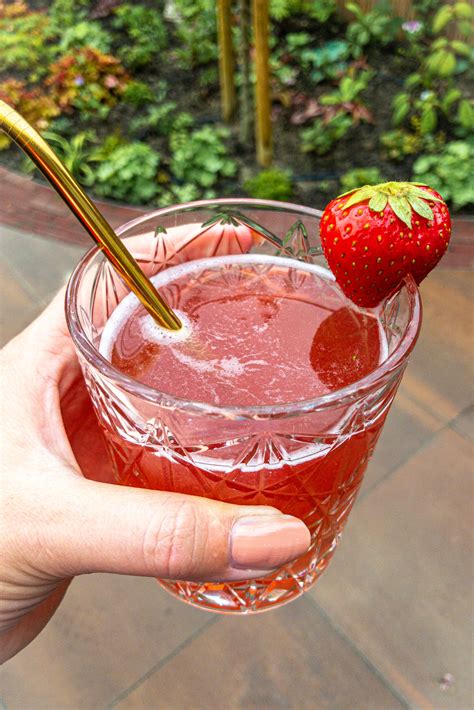 Low Kcal Strawberry Vodka Cocktail Eva Koper