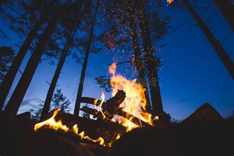 Bonfire Burns In The Night Forest Sparks Stock Image Image Of