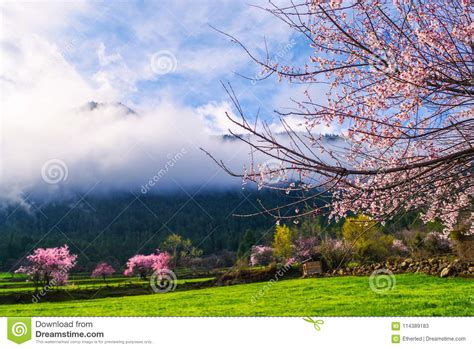 Snow Mountain Clear Green River Landscape Of Valley Stock Image