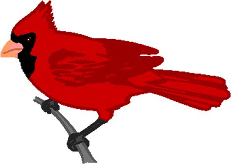 Download High Quality Cardinal Clipart Cool Transparent Png Images
