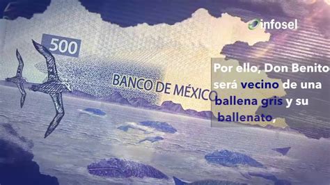 Banxico Presenta El Primer Miembro De La Nueva Familia De Billetes