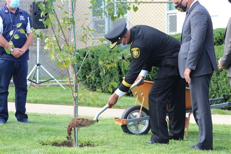 911 Survivor Tree Planted On 19th Anniversary Of
