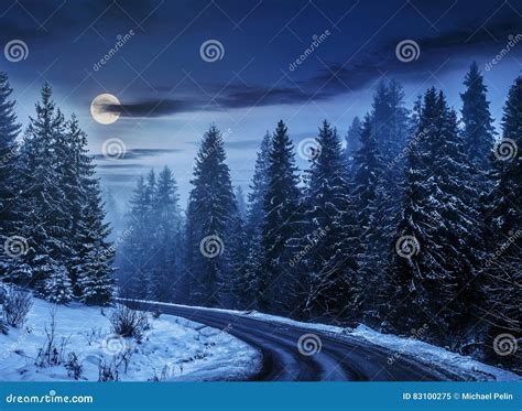 Snowy Road Through Spruce Forest At Night Stock Image Image Of Route
