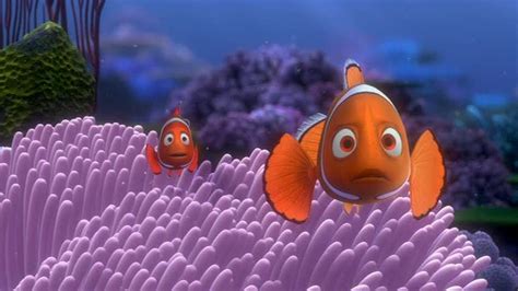 Finding Nemo Finding Nemo Image 3561644 Fanpop