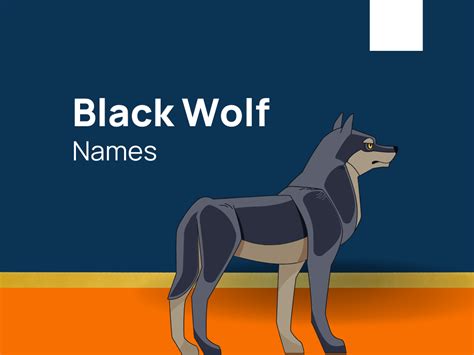 417 Creative Black Wolf Names Ideas Generator