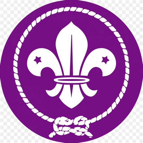 Scouting For Boys World Scout Emblem World Organization Of The Scout