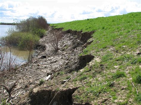 Public Domain Picture River Erosion In The Central Valley Id