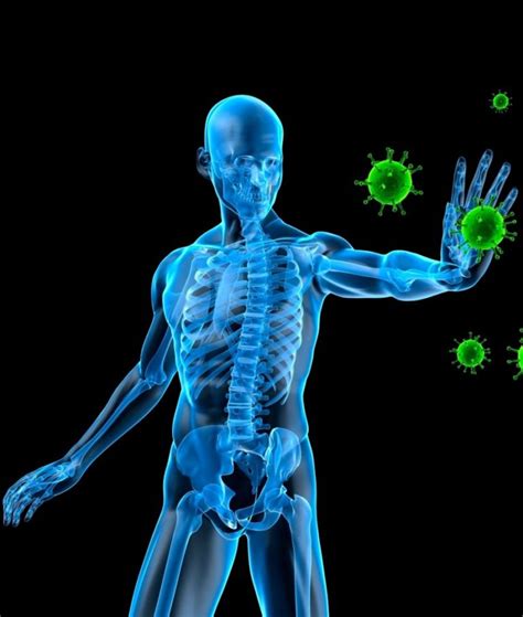 How To Supercharge Your Immune System Covid Crash Course