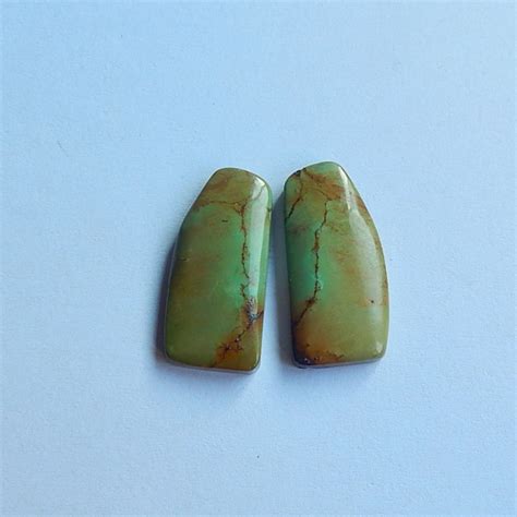 265ct Natural Green Turquoise Cabochon Pair18091230