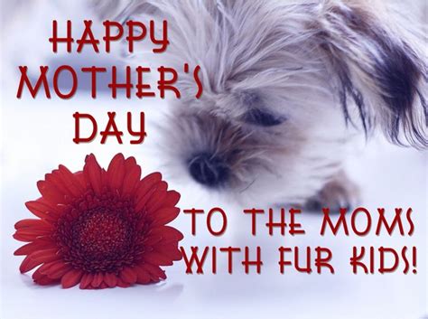 17 Best Images About Happy Moms Day On Pinterest For Dogs Mom And