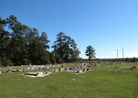 Shady Grove Baptist Church Cemetery Dans Buena Vista Georgia