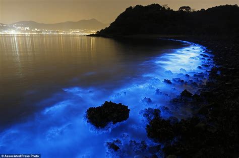 Magnificent Blue Glow Of Hong Kong Seas Also Disturbing Daily Mail Online