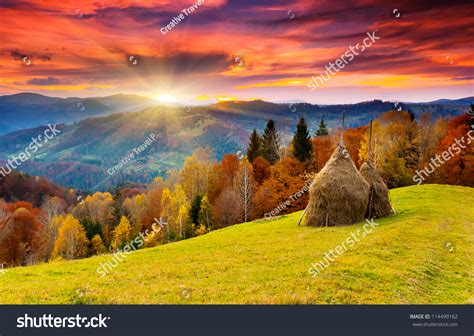 Mountain Autumn Landscape Colorful Forest Stock Photo 114499162