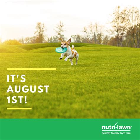 Nutri Lawn Mississauga Home