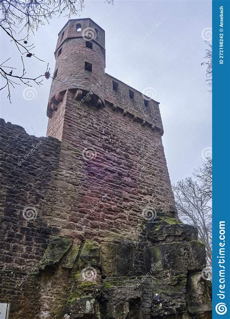 Neckarsteinach Schadeck Castle Hesse Germany Stock Photo Image Of