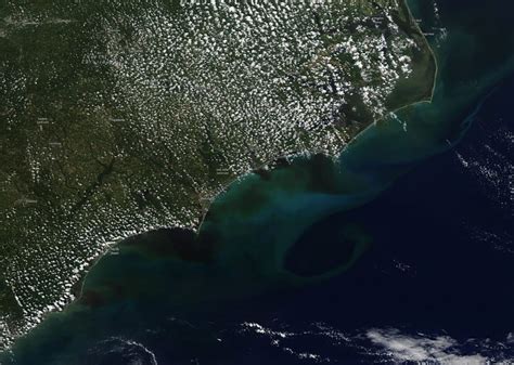 Highly Polluted Water From Florence Flowing Into The Atlantic Dans