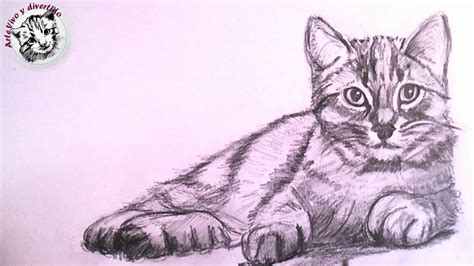 Gatos Para Dibujar Faciles Dibujos Faciles De Gatitos Como Dibujar