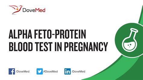 Afp is made by the yolk sac of the fetus, enters the amniotic hepatocellular carcinoma (hcc): Alpha Feto-Protein (AFP) Blood Test in Pregnancy