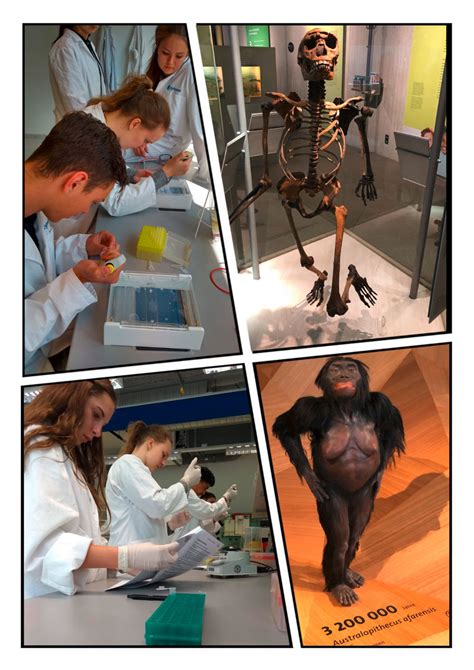 Weitere ideen zu bunte hintergründe, hintergründe, hintergrundbilder. Biologie und BNT - Burghardt-Gymnasium Buchen (Odenwald)