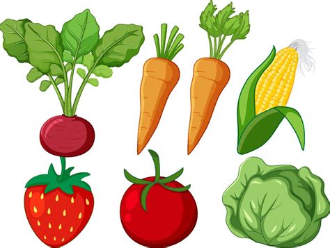 Conjunto De Dibujos Animados De Diferentes Verduras Vector En Vecteezy