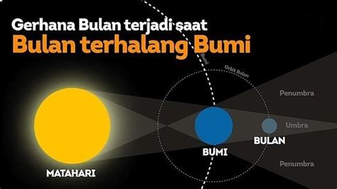 Dongkrak hidrolik mempunyai penampang a1 = 4 cm² dan a2 = 20 cm² jika diberi gaya f1 sebesar 50 n berapa beban yang dapat diangkat pada penampang a2? Gerhana Bulan Total Melewati Indonesia pada 31 Januari ...
