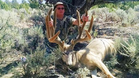 Nevada Bowhunter Harvests New World Record Typical Mule Deer Gohunt