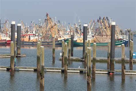 Vissershaven Lauwersoog Nl Groningen Nederland Stad