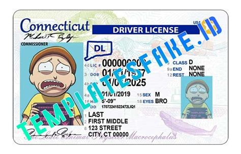 Connecticut Usa Driver License Psd Template In 2021 Psd Templates