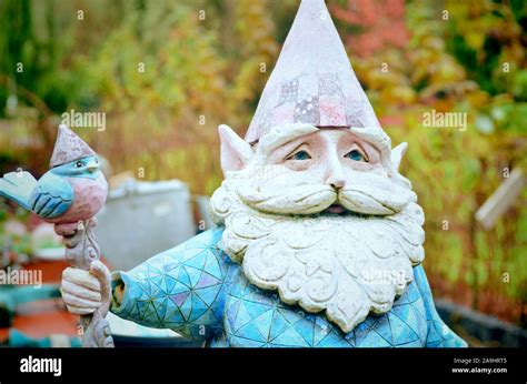 Garden Gnome Smiling With A White Beard Stock Photo Alamy