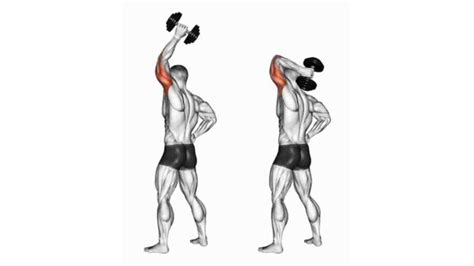 How To Do Overhead Cable Tricep Extension Proper