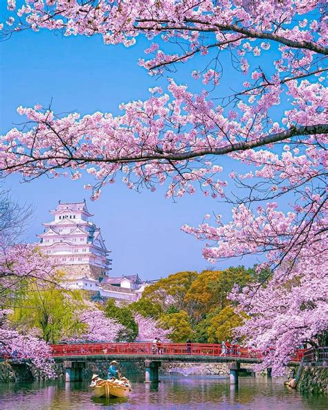 Japanese Words Daily On Instagram 🏯 X 🌸 Himeji Castle Hyōgo