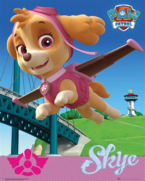 Poster And Affisch Paw Patrol Skye Europosters