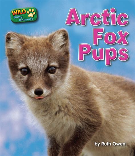 Arctic Fox Pups Bearport Publishing