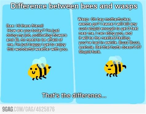 Whats The Difference Between Bees And Wasps Crazy Funny Memes Cute