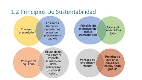 Desarrollo Sustentable Principios De Sustentabilidad