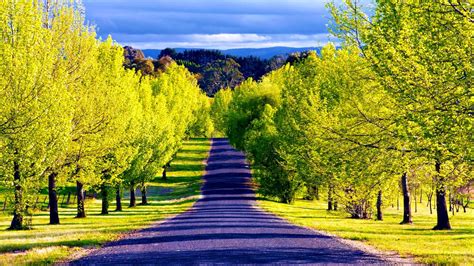 Pathway Wallpapers Most Beautiful Places In The World Download Free
