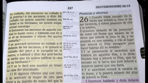 Biblia Reina Valera 1960 Deuteronomio Capítulos del 26 al 29 YouTube