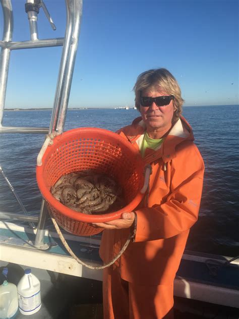 Recent Shrimping Virginia Beach Shrimp