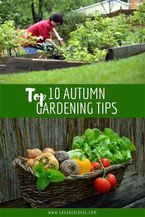 10 Autumn Gardening Tips Gardening Tips Autumn Garden Food Garden