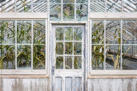 Greenhouse Seen From Outside By Stocksy Contributor Amanda Large
