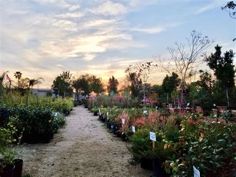 Agriculture company, agricultural service, outdoor, recreation & fitness. Sun Valley Nursery - Home | Facebook