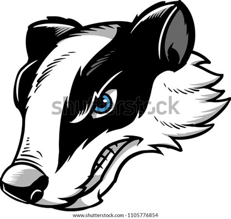 612 Angry Badger Images Stock Photos And Vectors Shutterstock
