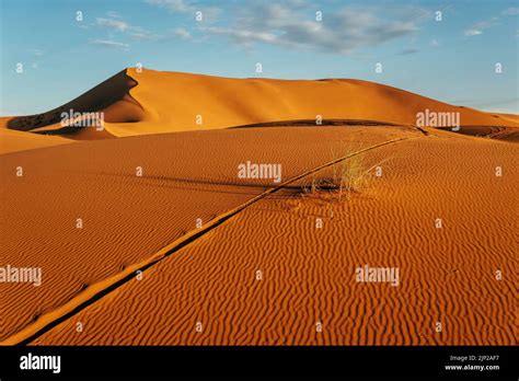 Desert Sand Dune Sand Track Deserts Wüste Sand Dunes Sand Sign