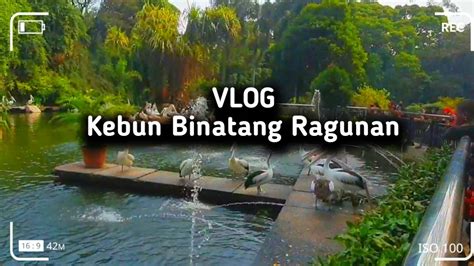 Kebun Binatang Ragunan 2022 🐅🐘🐪 Vlog 😆 Youtube