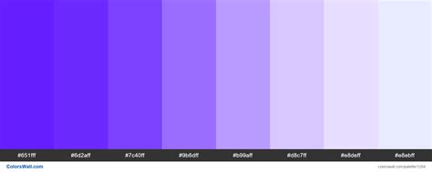√ Purple Color Palette Hex