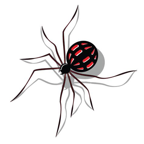 Spider Royalty Free Stock Vector Clip Art