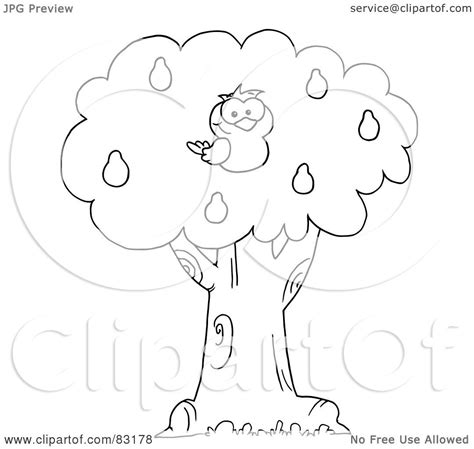 Https://wstravely.com/coloring Page/a Partridge In A Pear Tree Coloring Pages