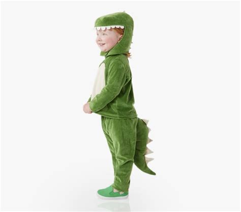 Toddler Dino Washable Costume Pottery Barn Kids