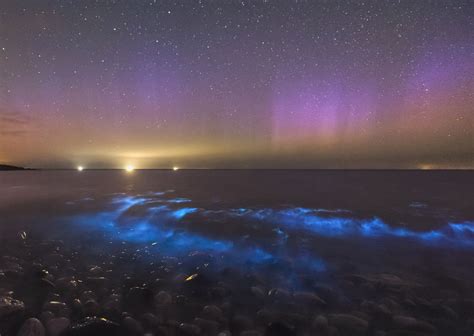How To Photograph Sea Sparkle Taking Images Of Bioluminescent Plankton