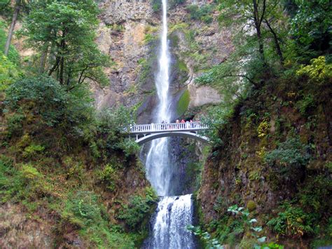 무료 이미지 폭포 다리 물줄기 열대 우림 좁은 골짜기 Wasserfall 물 특징 자연 보호 구역 주립 공원